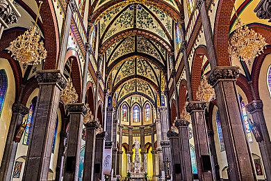 岁稔年丰！《植兽物语》9.1凌晨一点发售，PC+主机均可游玩